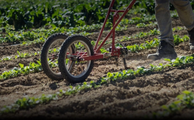 Partenariat entre la Ferme de l’Envol et le restaurant Dans le Noir ? Paris pour une agriculture durable et locale.
