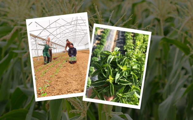 Les 10 engagements du restaurant Dans le Noir ? Paris