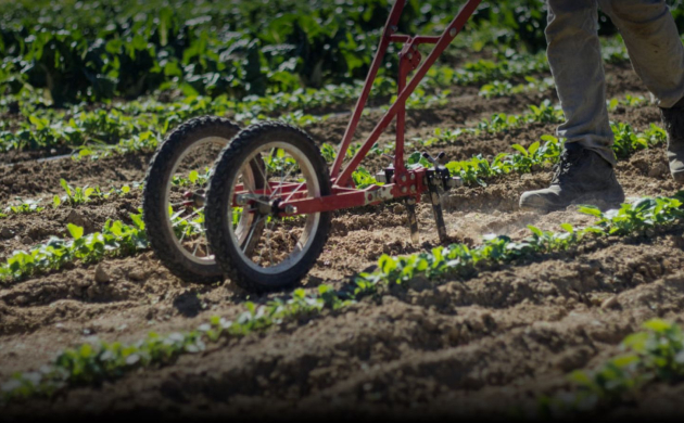 Partenariat entre la Ferme de l’Envol et le restaurant Dans le Noir ? Paris pour une agriculture durable et locale.